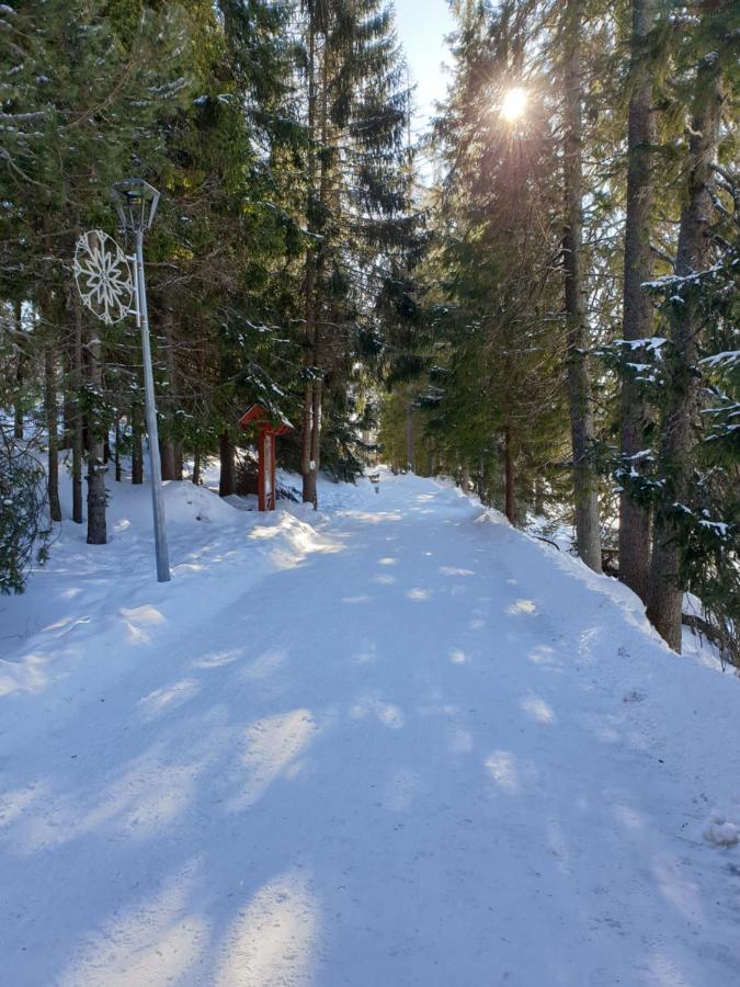 Apartman 401 - Hotel S Apartmanmi Crocus . Štrbské Pleso Exteriör bild