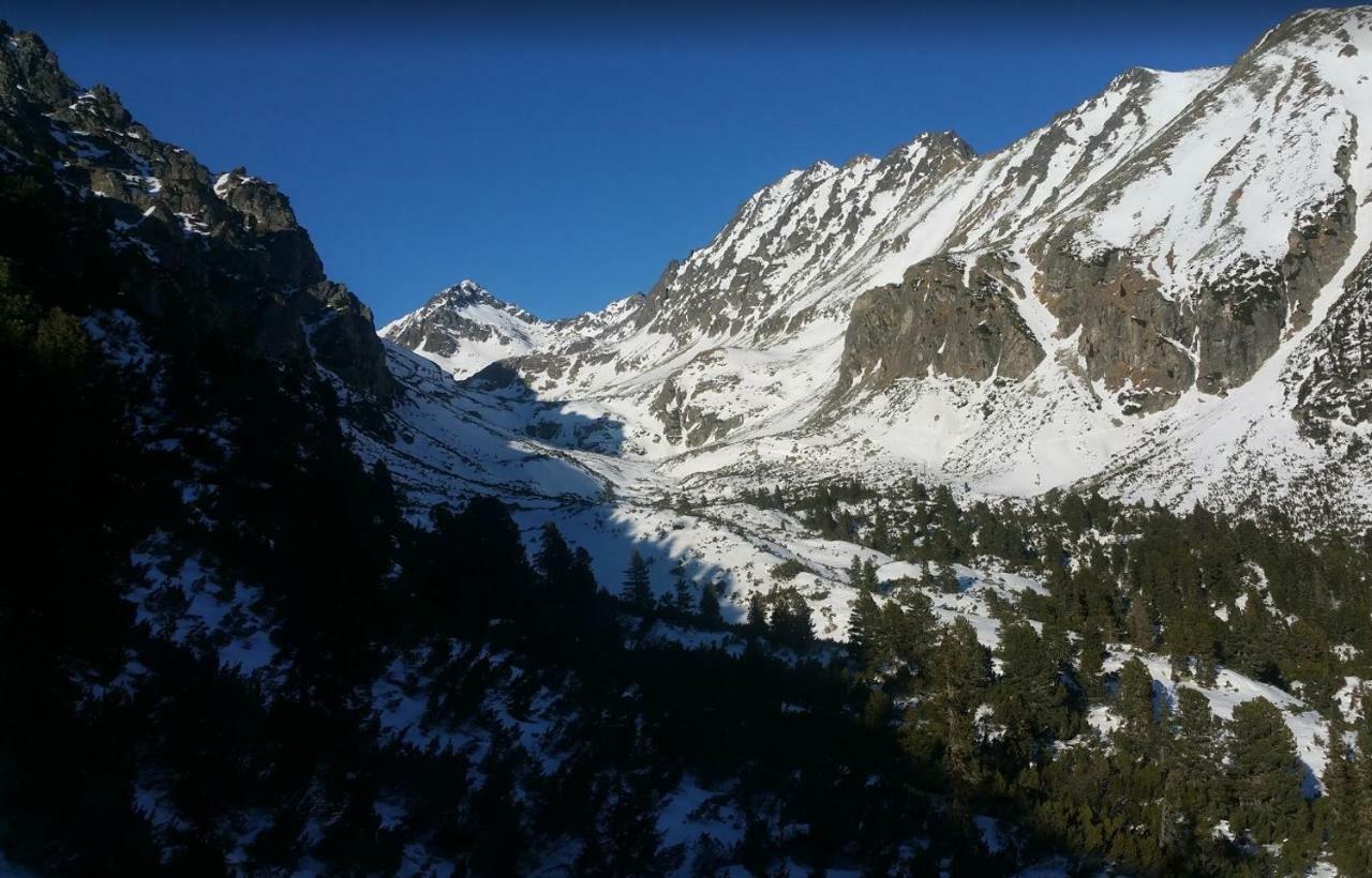 Apartman 401 - Hotel S Apartmanmi Crocus . Štrbské Pleso Exteriör bild