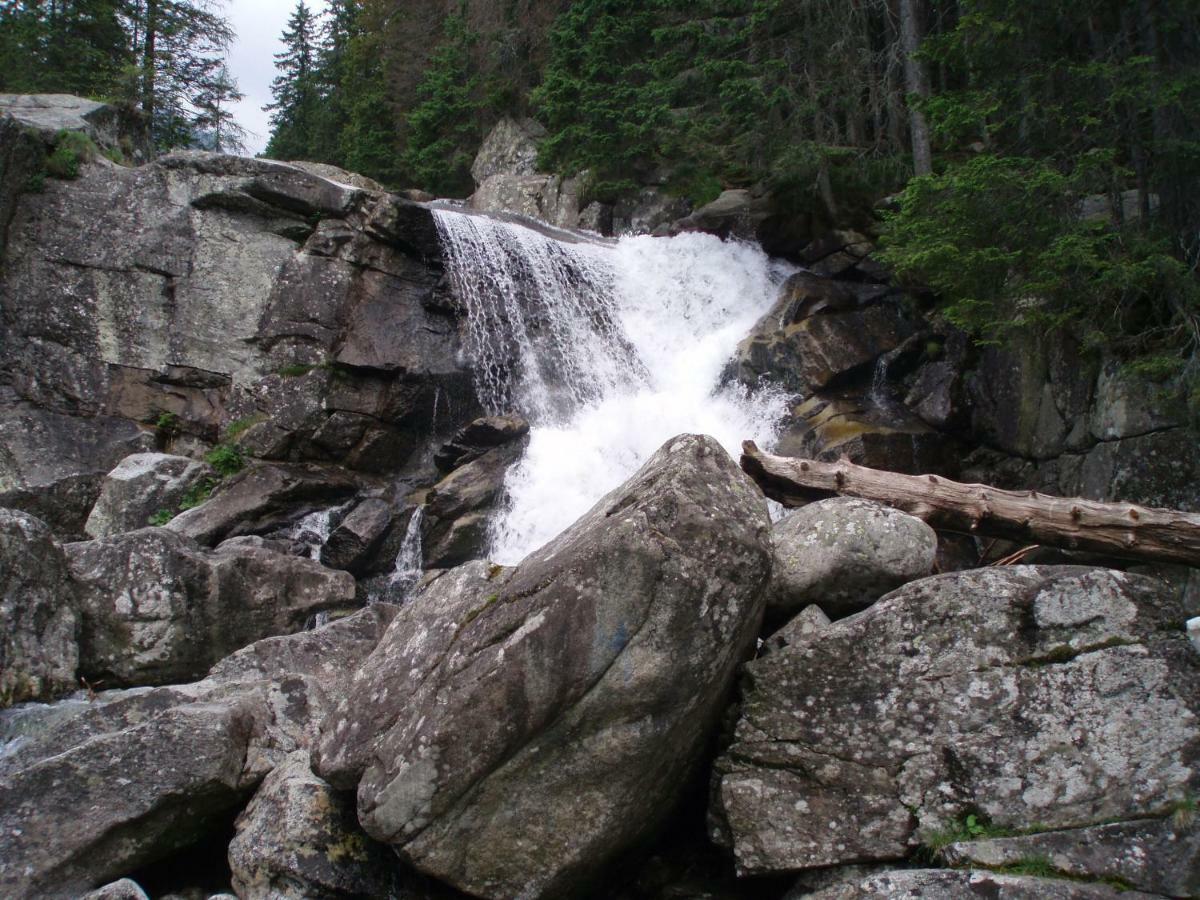 Apartman 401 - Hotel S Apartmanmi Crocus . Štrbské Pleso Exteriör bild