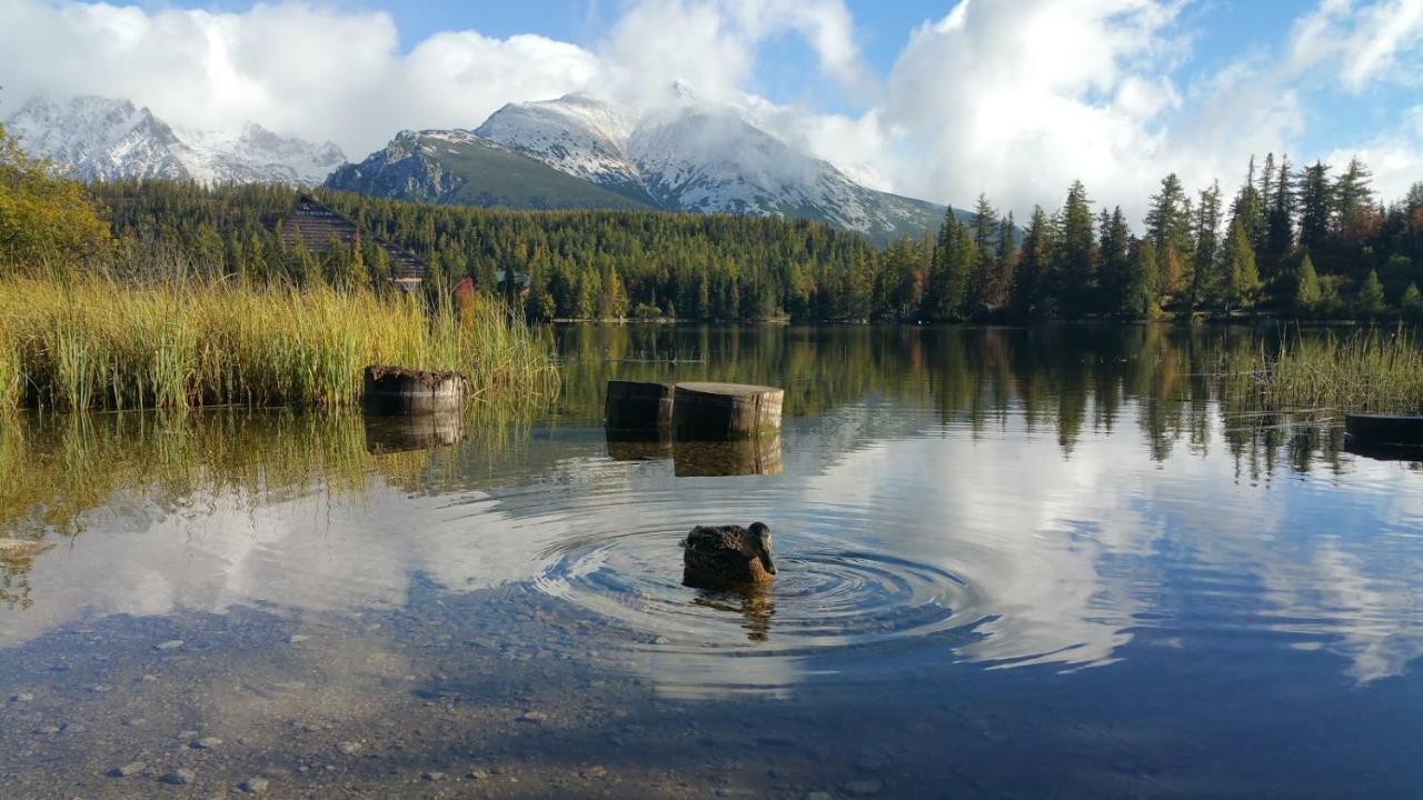 Apartman 401 - Hotel S Apartmanmi Crocus . Štrbské Pleso Exteriör bild